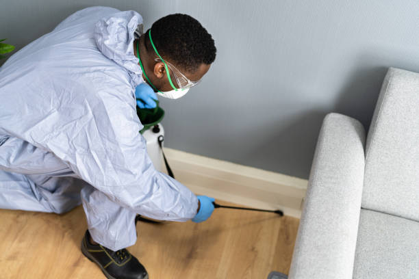 Best Pest Prevention Services  in Huntington Station, NY